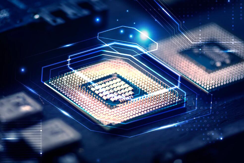 月季瓷盘摆件哪里有批发的 月季树批发